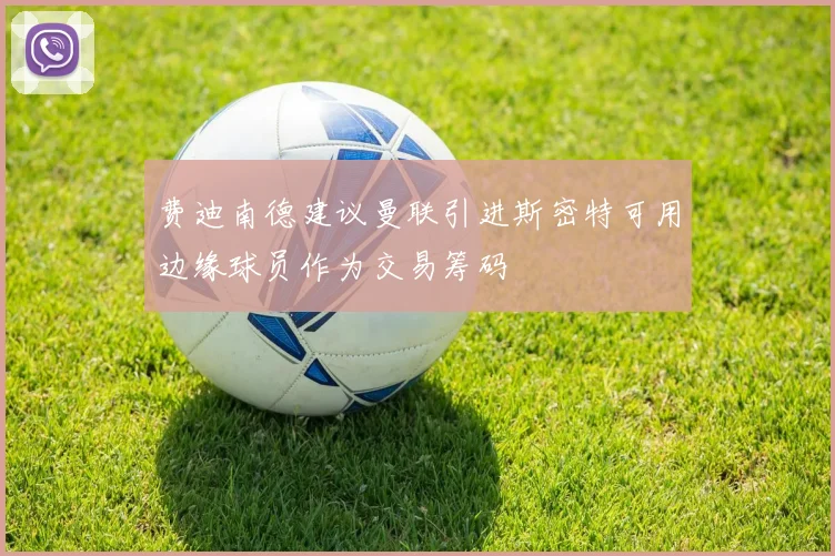 费迪南德建议曼联引进斯密特可用边缘球员作为交易筹码