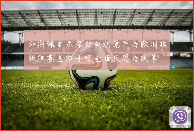 加斯佩里尼深刻剖析意甲与欧洲顶级联赛差距呼吁全面反思与改革